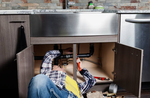 Best Local Plumber Services  in Riverse, ID